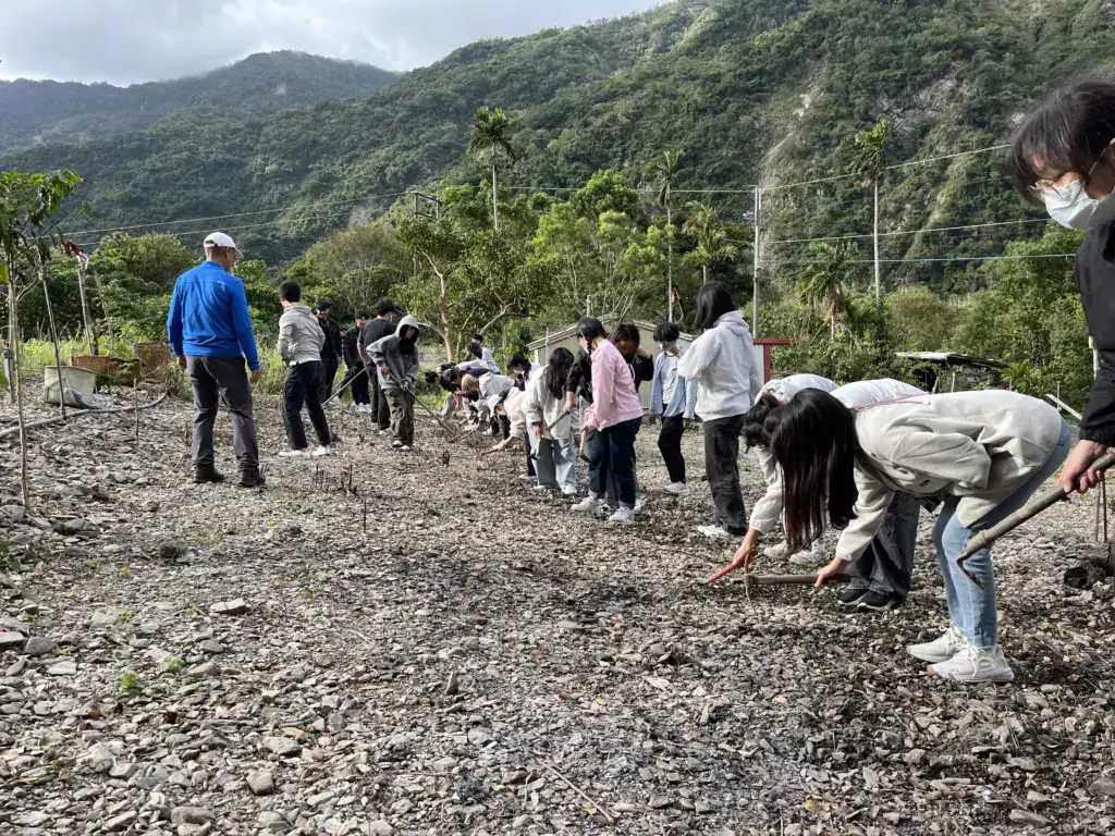 疏伐小米田